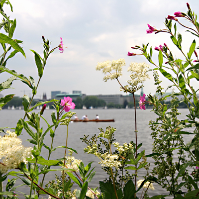  Hamburg